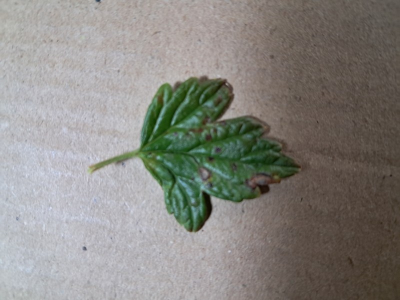 20250918_173422.jpg