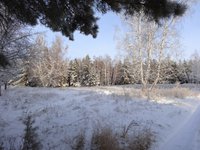 Казалось бы ничего не предвещало...