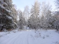 Дорога манит в путь