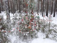 А вот и дерево для жертвоприношений