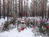 Вдруг я очутился на заколдованной поляне. Здесь устраивают шабаш идолопоклонники из племени Дом-2