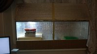 WP_20150227_001.jpg