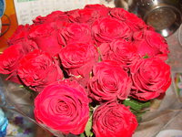 DSC00975.JPG