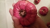 20150330_220330.jpg