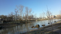 Конец осени.