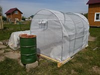 20150510_111052- тепличка.jpg