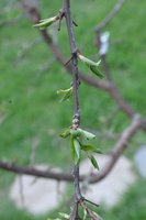 DSC_1528.jpeg