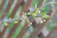 DSC_1474.jpeg