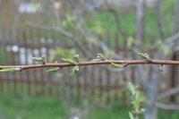 DSC_1526.jpeg