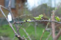 DSC_1533.jpeg