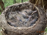весна-2015 059.jpg