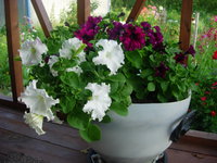 DSCN5875.JPG