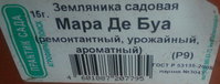 04_name.jpg