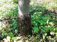 20150614_113503.jpg