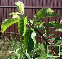IMG_1636.JPG