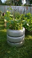 WP_20150629_034.jpg