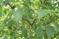 P1220139.JPG