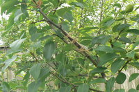 P1220140.JPG