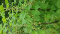 20150529_134555.jpg