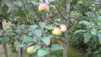 20150731_192904.jpg