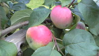 20150731_192324.jpg