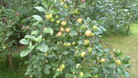 20150731_192412.jpg