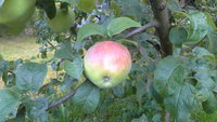 20150731_192521.jpg