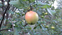 20150731_195037.jpg