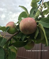 IMG_2184.JPG