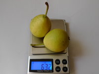 P1090756 +.JPG