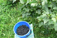 P1230005.JPG