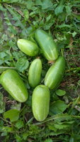 Маргеланские от А.И.
