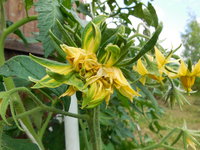 DSCN0108.JPG