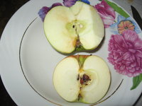 IMG_2659.JPG