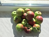 IMG_2473.JPG