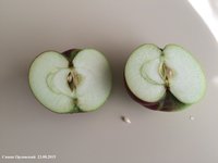 IMG_2487.JPG