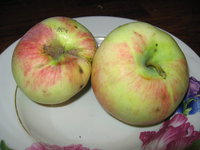 IMG_2673.JPG