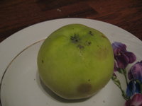 IMG_2675.JPG