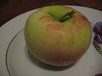 IMG_2676.JPG