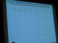 P1100050.JPG