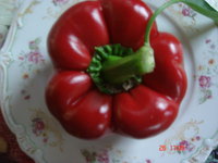 DSC08977.JPG