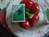 DSC08980.JPG