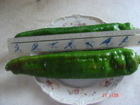 DSC08981.JPG