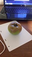 20150905_230843.jpg