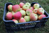 IMG_1729.jpg