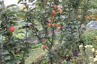 IMG_1726.jpg