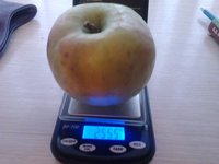 2015-09-27 17.26.48.jpg