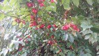 20151001_154243.jpg