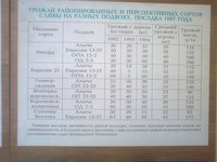 Изображение 005.jpg