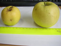 STA44822.JPG
